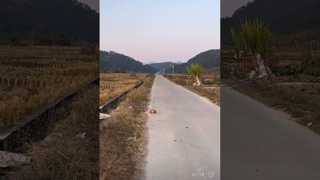 питарды (тест).mp4