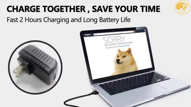 Top 5 Best Wireless Dog Fences in 2022 Reviews