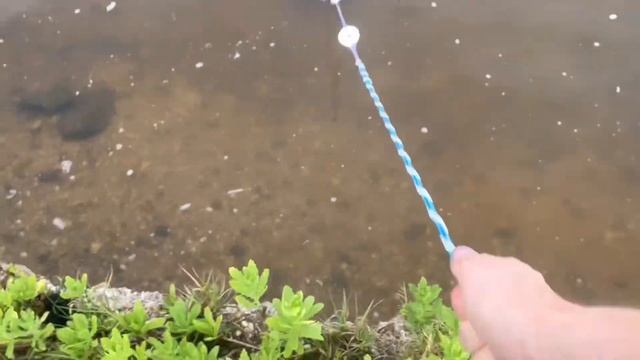 Multi Species Fishing In The SWAMP! (INSANE CATCHES!)