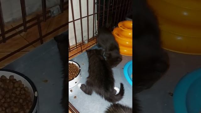 Лазили по подвалу (нам же заняться нечем)