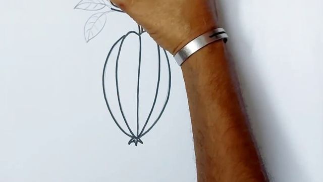 How to draw Carambola // How to draw and colour easy Carambola drawing step by step for kids смотреть онлайн