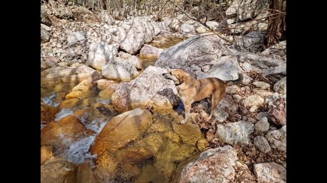 Удивительное путешествие по речке Босе в "открытках" смотреть онлайн