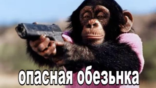 топ обезьянок смотреть онлайн