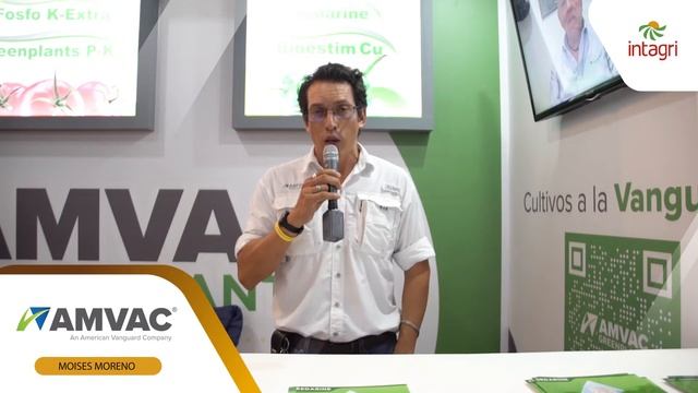 Amvac Testimonio смотреть онлайн