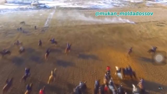 Галымжан палуан Пушык торымен сонгы салым бару кайтуын салды смотреть онлайн