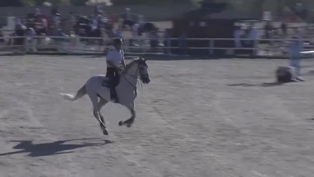 LANCELOT 384 - Alisa Danilova - Bronze 2 - 1,25m - Valencia (24.10.2014) смотреть онлайн