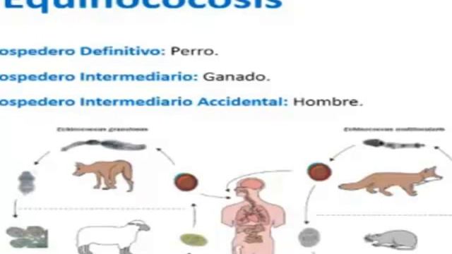 Tmmed infectología - 2 10 смотреть онлайн