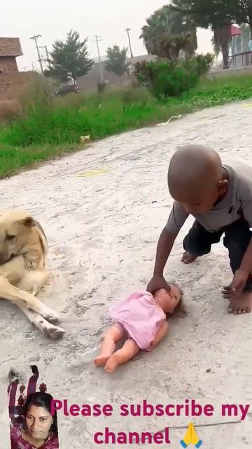 🦮#doll #dog #baby #shorts #viral #video смотреть онлайн
