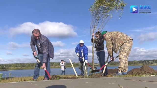 Акция "Наш лес. Посади свое дерево" г.п. Воскресенск смотреть онлайн