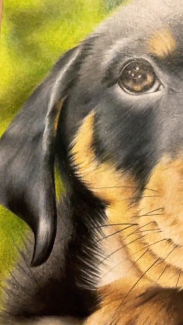 Details of my latest commission #shorts #art смотреть онлайн