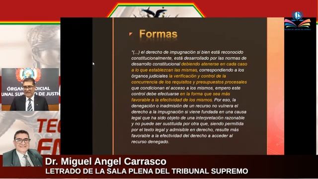 CURSO "TEORIA DE LA IMPUGNACIÓN EN MATERIA PENAL" смотреть онлайн