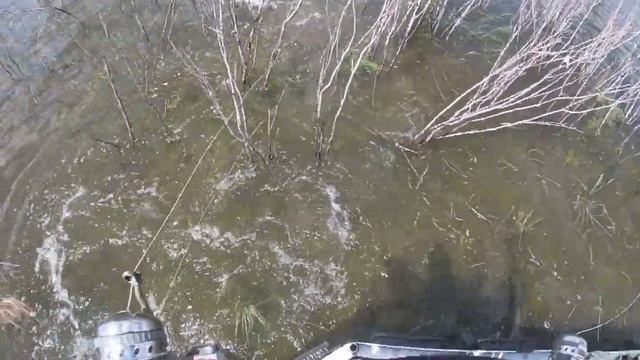 BOWFISHING GIANT 7ft ALLIGATOR GAR- TEXAS смотреть онлайн