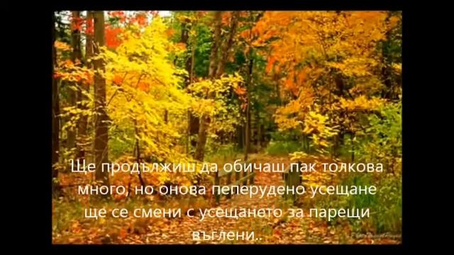 Истината боли смотреть онлайн