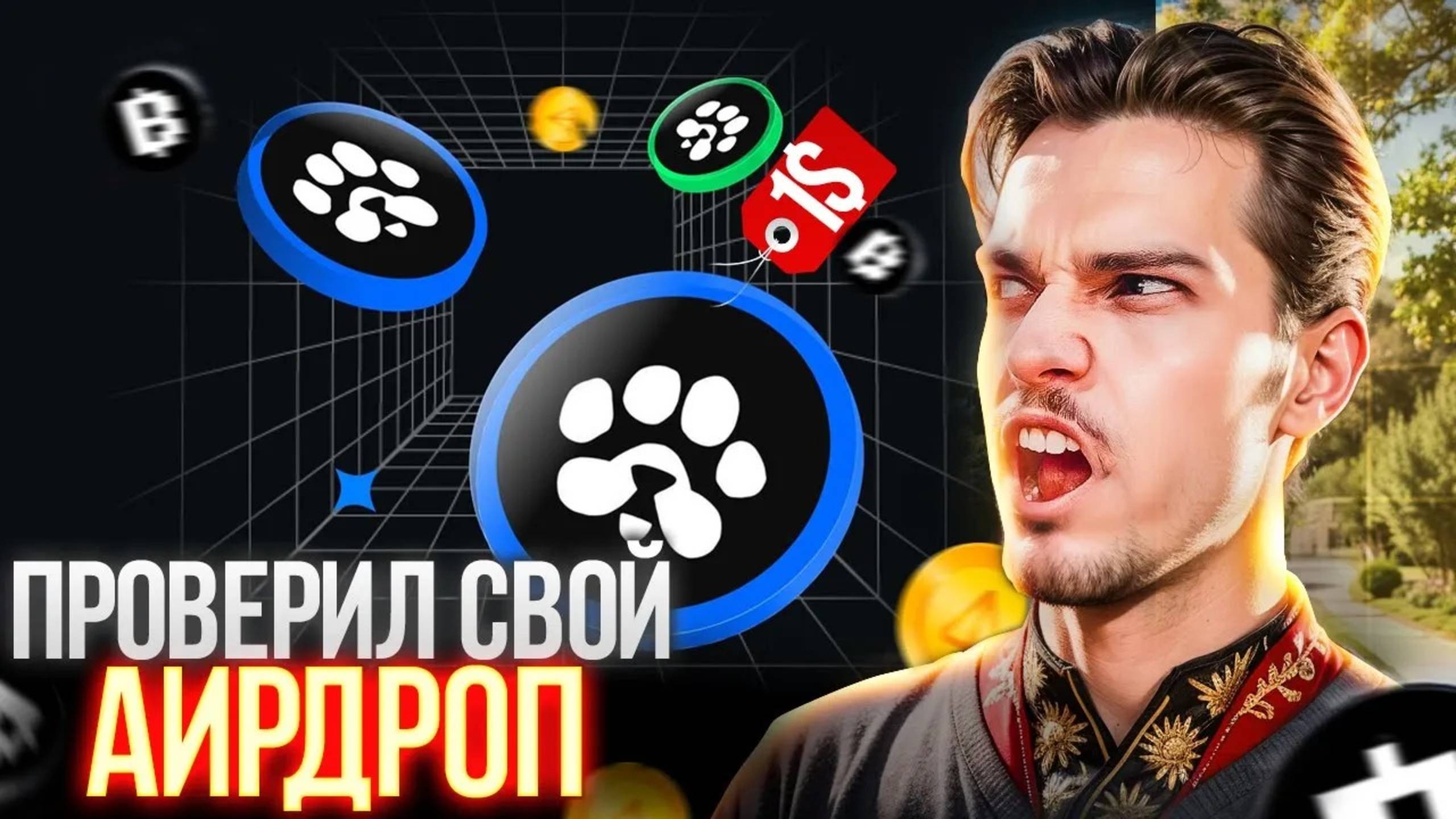 Проверяем аирдроп PAWS - кто сколько $PAWS получил?