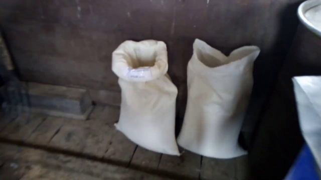 Отлучаем поросят от свиньи. 🐖🐖🐖🐖 смотреть онлайн