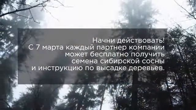 GreenWay - сажает сосны!!! смотреть онлайн
