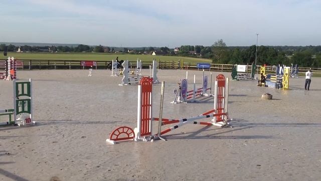 Upercut Star Troides Cso Maganville Poney 4