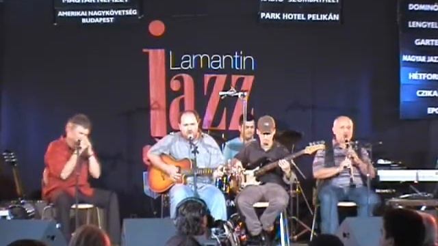 LAMANTIN JAZZ Festival 2009 BLUES JAM play Mojo workin' смотреть онлайн