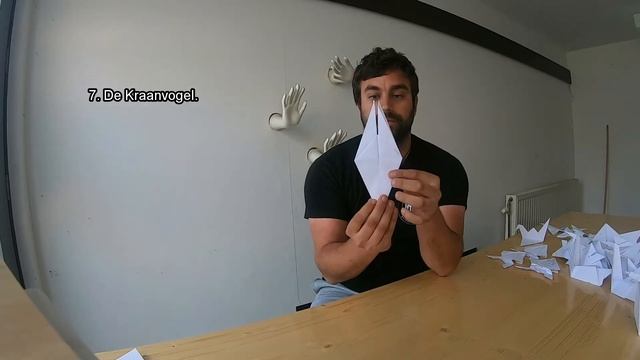 Dag 8 Origami Deel 7 De Kraanvogel смотреть онлайн