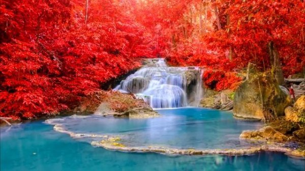 Rusl Ter - Catherine