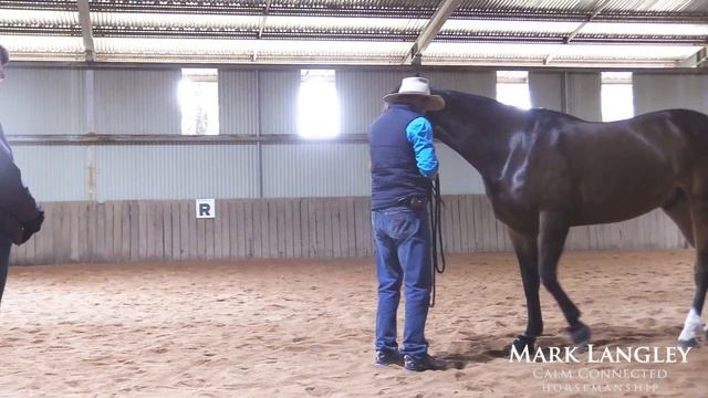 Horse Training Tip: Getting A Horse To Move With It's Thoughts (a Good Yield)
