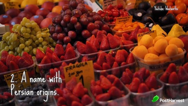 Facts About Nectarines смотреть онлайн