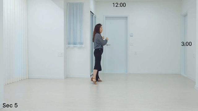 Lose Control (Teach)/Absolute Beginner - Line Dance