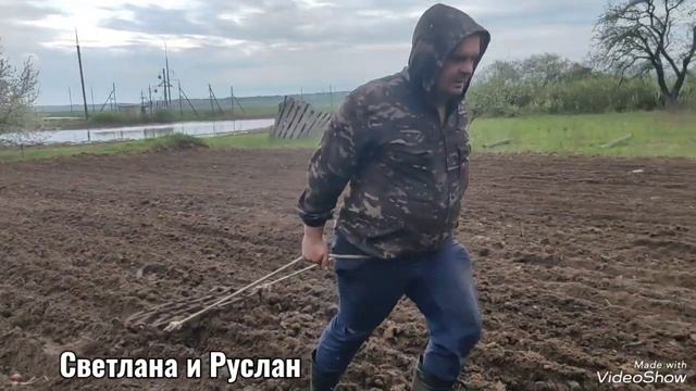 Сломался инкубатор//посадили картошку//рапс взошел