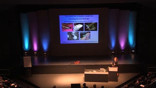 Abigail Tucker - BSDB Cheryll Tickle medal lecture смотреть онлайн