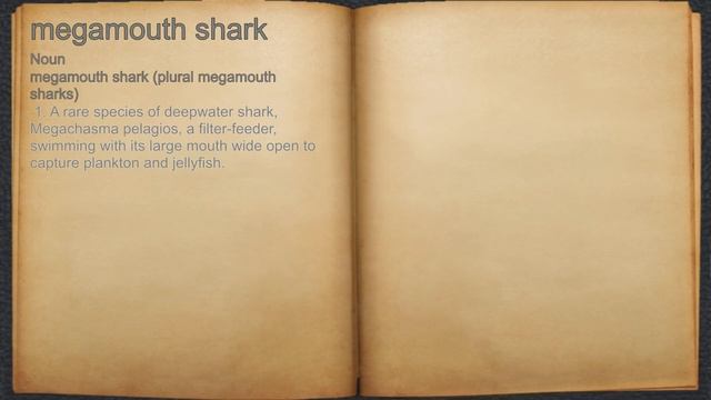 What does megamouth shark mean? смотреть онлайн