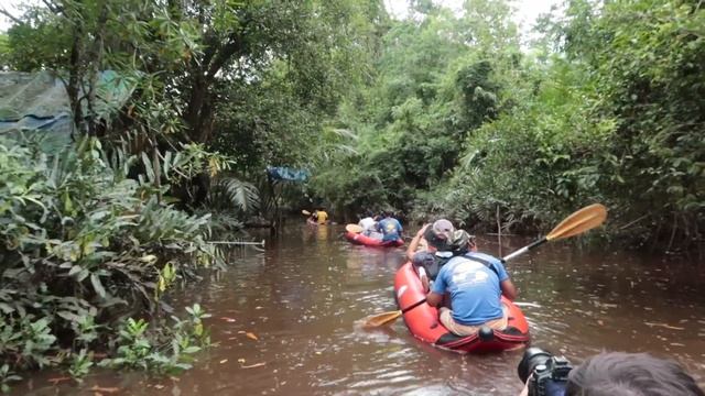Discovering The Amazon Mangroves In Phang Nga Thailand!