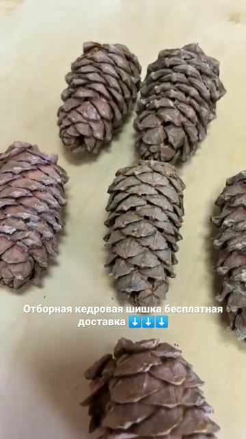 Ссылка в комментарии Кедровая шишка, кедровый орех очищенный ⬇️⬇️⬇️Бесплатная доставка смотреть онлайн