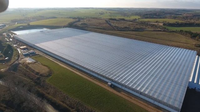 STERLING SUFFOLK LIMITED. MASSIVE GLASSHOUSE TOMATO KINGDOM. dji phantom drone suffolk ipswich смотреть онлайн