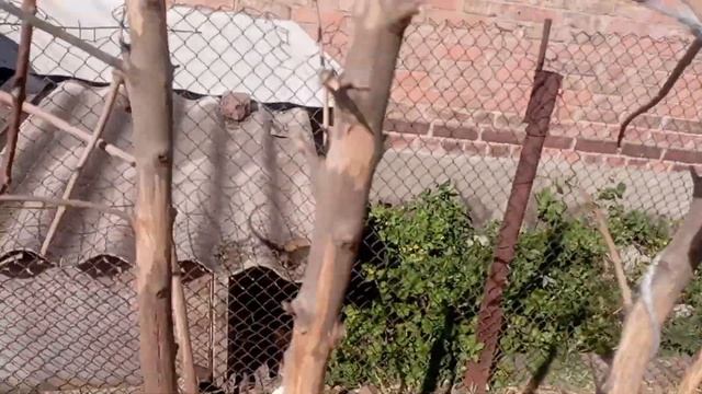 Дружковка 5 мая 2024 г.Христос Воскрес.Всё по мерзло😢 смотреть онлайн