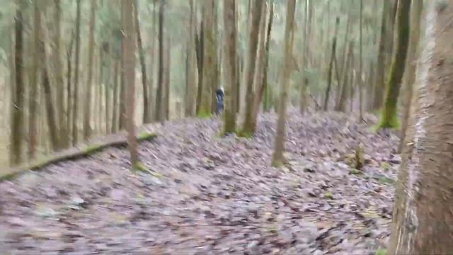 Тихановский приехал в лес к Честу 2020 03 07 смотреть онлайн