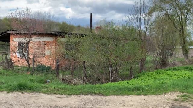 Прогулка с Гошей!! смотреть онлайн