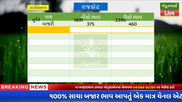 Rajkot APMC: 24 05 2024 | Rajkot aaj na bajar bhav | રાજકોટ આજના બજાર ભાવ | aaj na bajar bhav смотреть онлайн