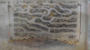 Муравьиная Ферма СПУСТЯ 3 ГОДА!!!