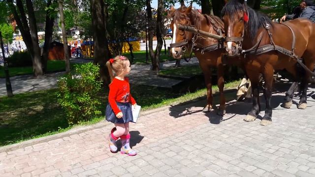 Кони кони...живой транспорт в Трускавце