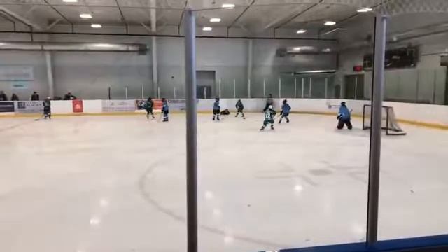 Aurora panthers atom house league game смотреть онлайн
