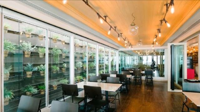 Citrus Sukhumvit 11 by Compass Hospitality **** - Bangkok, Thailand смотреть онлайн