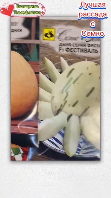 Семена от Семко #семко #семена #огурец #огурцы смотреть онлайн