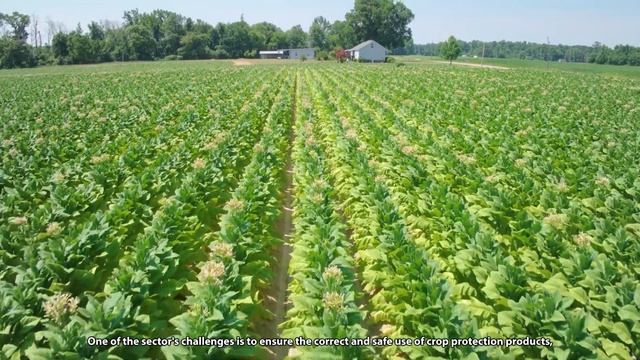 Efficient use of Crop Protection Products смотреть онлайн