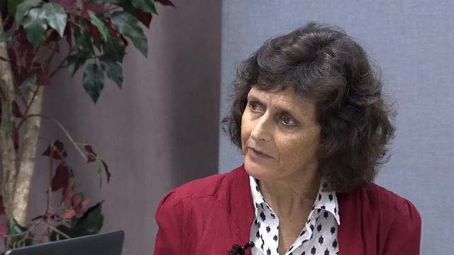 Island Connections: Israeli Occupation and Resistance смотреть онлайн