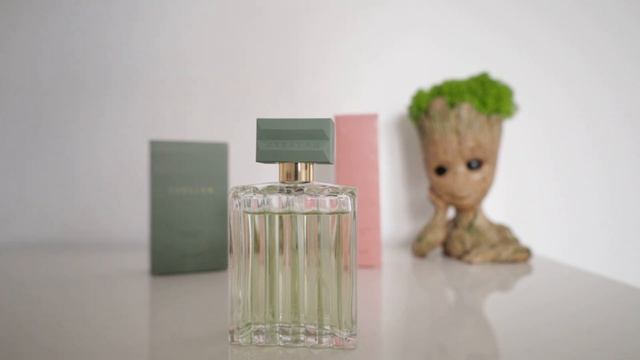Unboxing Oriflame-Apa de toaletă GREATER pentru El și Ea смотреть онлайн