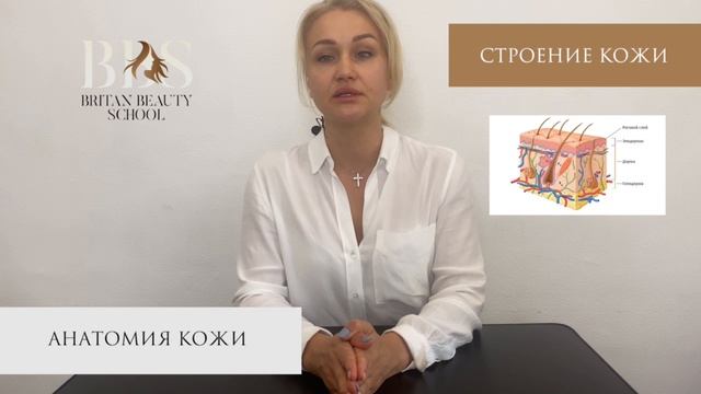 Отрывок из курса "Косметолог-эстетист". Теория смотреть онлайн