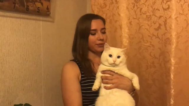 позитив в орехово зуево смотреть онлайн