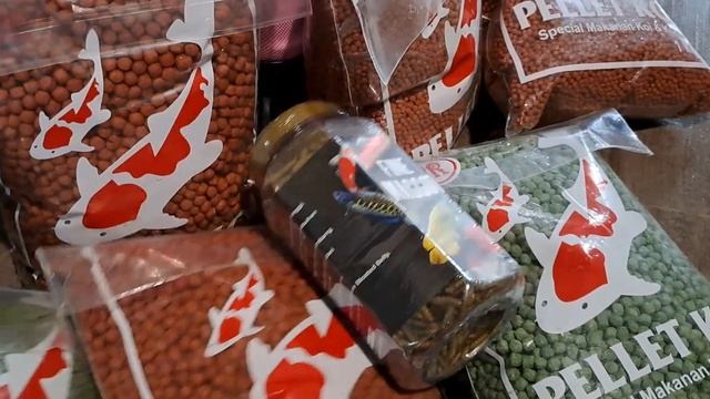 Pelet ikan koi dan koki plus maggot pakan ikan predator | link belanja смотреть онлайн