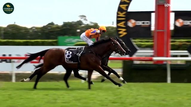 6,6 миллионов долларов за 'Imperatriz' смотреть онлайн