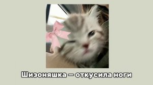 ❁ || Шизоняшка — откусила ноги